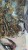 IMG_8381.jpeg