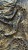 IMG_8368.jpeg