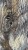 IMG_8370.jpeg