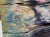 IMG_8458.jpeg