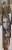 FullSizeRender.jpeg