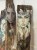 IMG_7810.jpeg