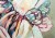 DSC02414.jpeg