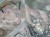 IMG_3440.jpeg