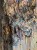 IMG_4685.jpeg
