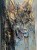 IMG_4694.jpeg