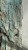IMG_0806.jpeg