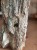 IMG_0797.jpeg
