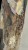 IMG_0859.jpeg