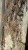 IMG_0862.jpeg