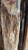 IMG_0869.jpeg