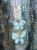 IMG_4586.jpeg