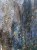 IMG_4578.jpeg