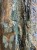 IMG_4574.jpeg
