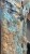 IMG_2529.jpeg