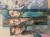 IMG_4775.jpeg